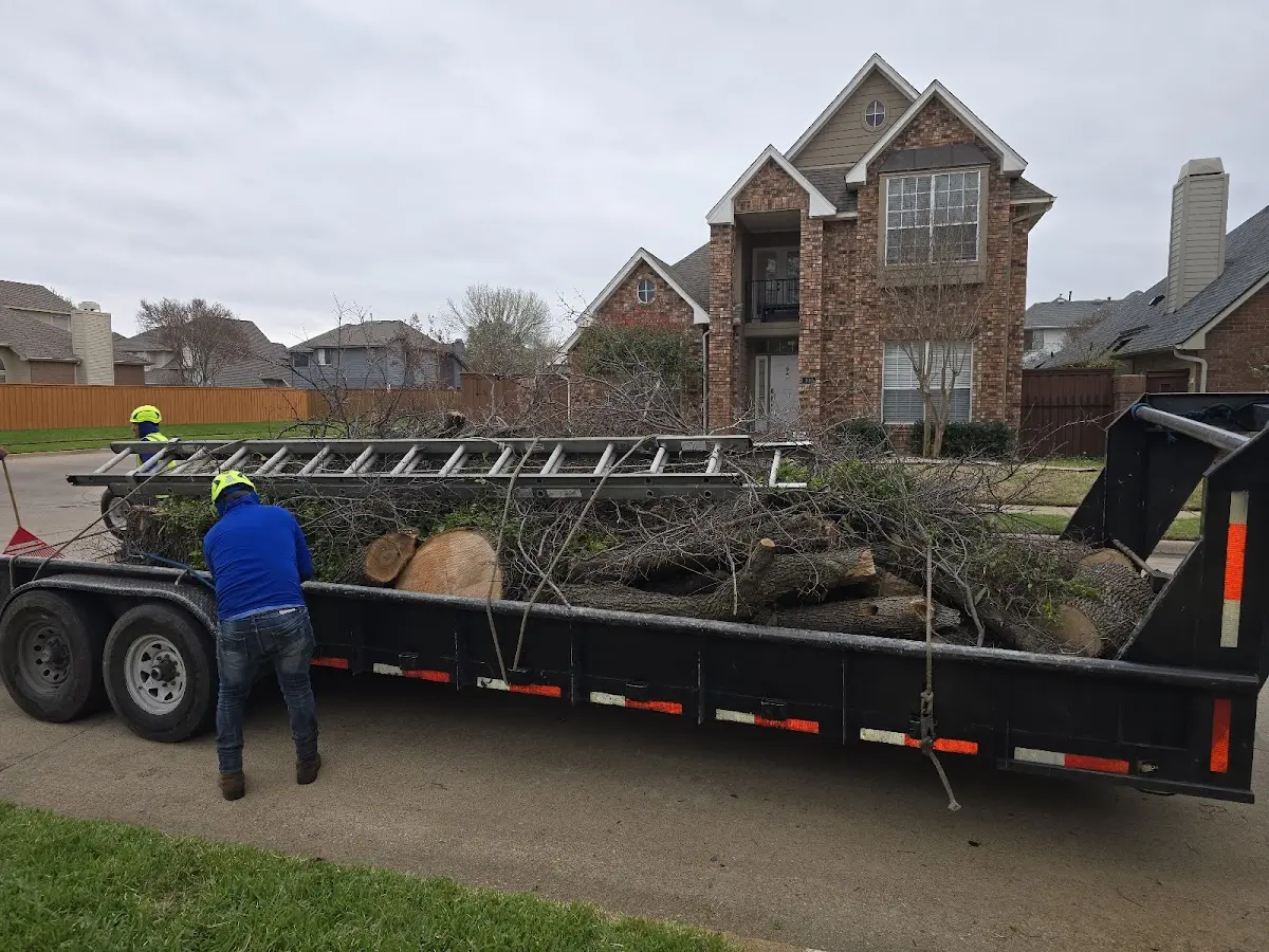 Expert Lot Clearing with proper safety equipment in Saco
